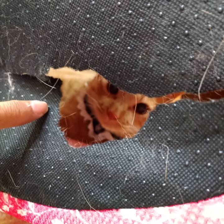 7c635292 ac1a 49f2 9083 853da61d9fed 1589439947042