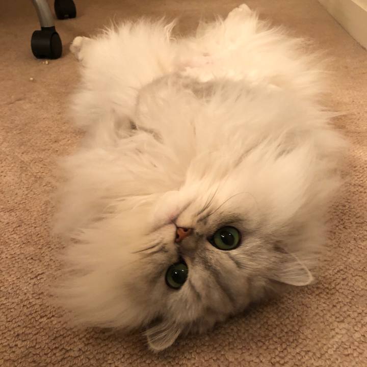 7c6358dc 207c 49bb a139 e24d434a4fd5 1547461923265