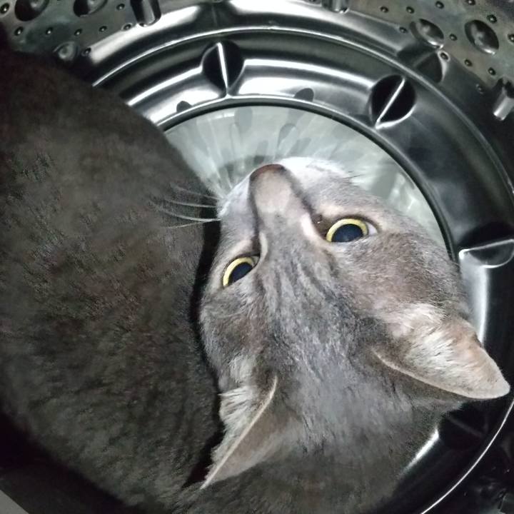 7c63c4b9 27a2 4aaf ab6e 6c3716c96c06 1652715449904