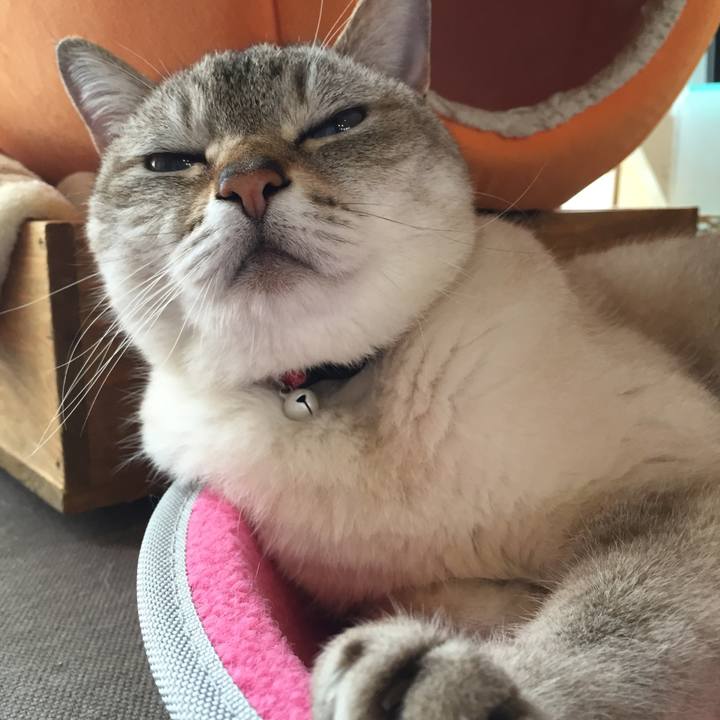 7c63ea33 499f 4357 9d8f 5b9c35c173b4 1527669986062