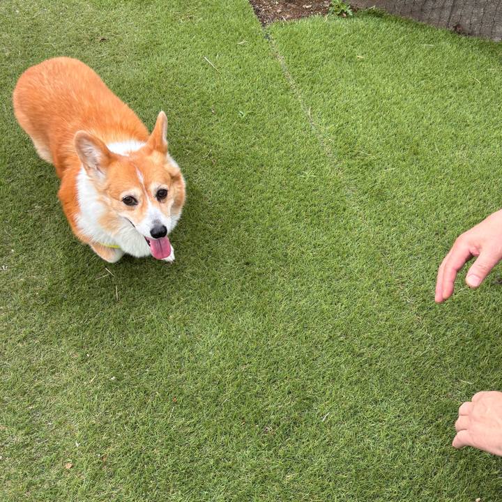 7c63effa 6c4f 4d62 be93 fc198b9f19e0 1776646107101