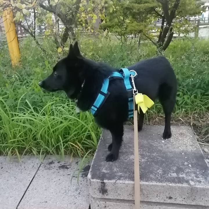 7c6425d6 af09 47ff be64 452dbbb2d1ba 1665695833751