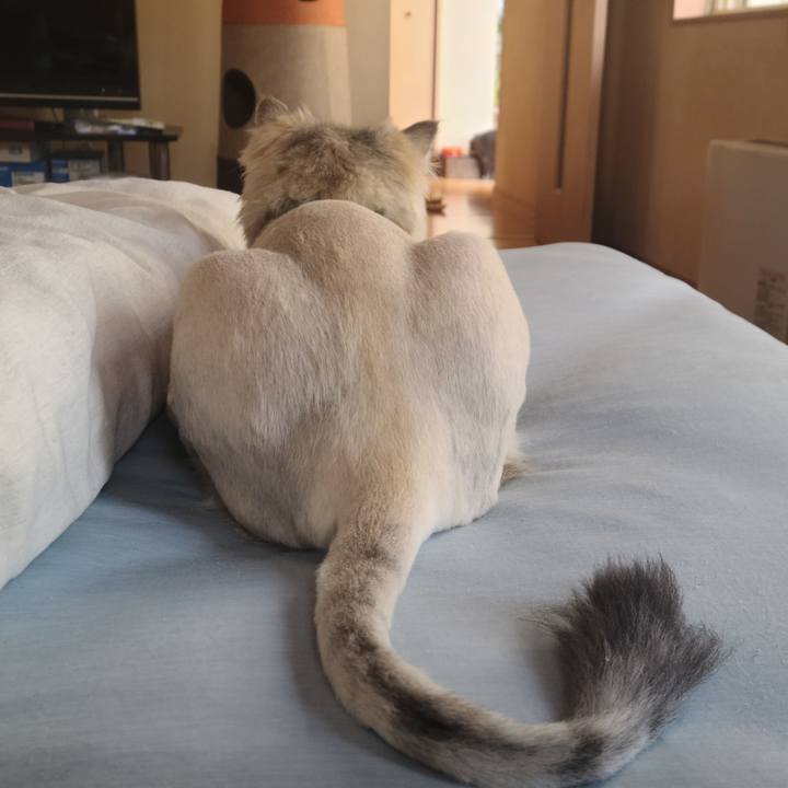 7c643b30 5158 4892 b272 e082e82a204e 1623390151772