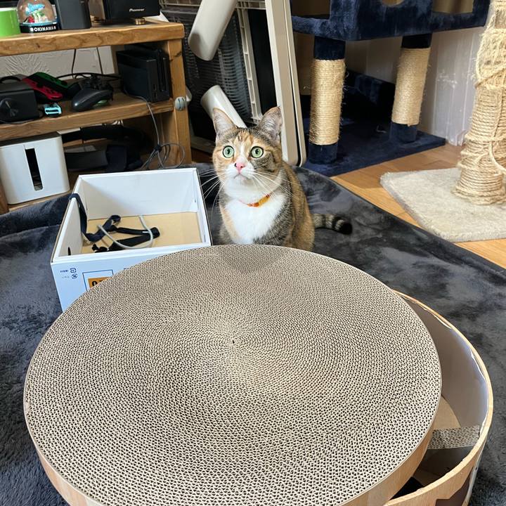 7c643da0 d150 455e bfa7 dbfd4e8a47b1 1672366872467