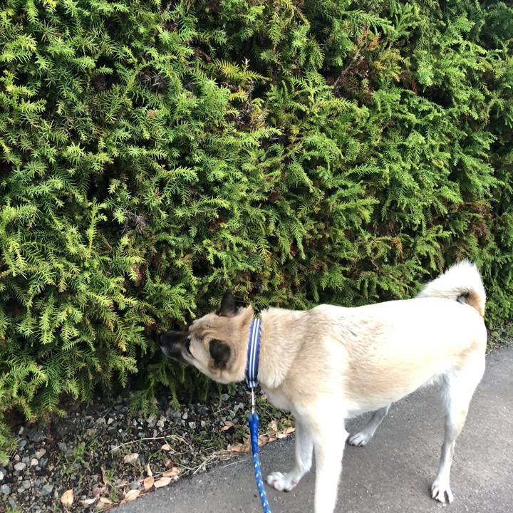 7c64435a eace 4feb 9103 2854680bb695 1603889950182