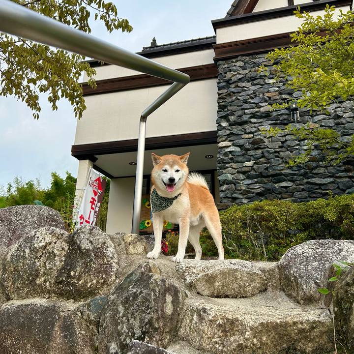 7c64467a d42d 4fd3 951b 43f19e11fa42 1727176486807