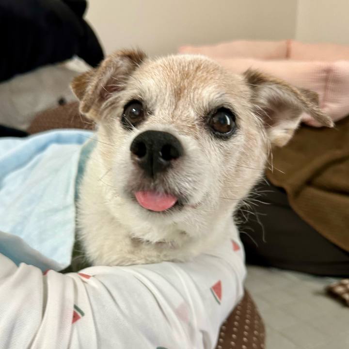 7c646d3b 180b 4c9a a7a9 84c8722ff6c3 1757757605814