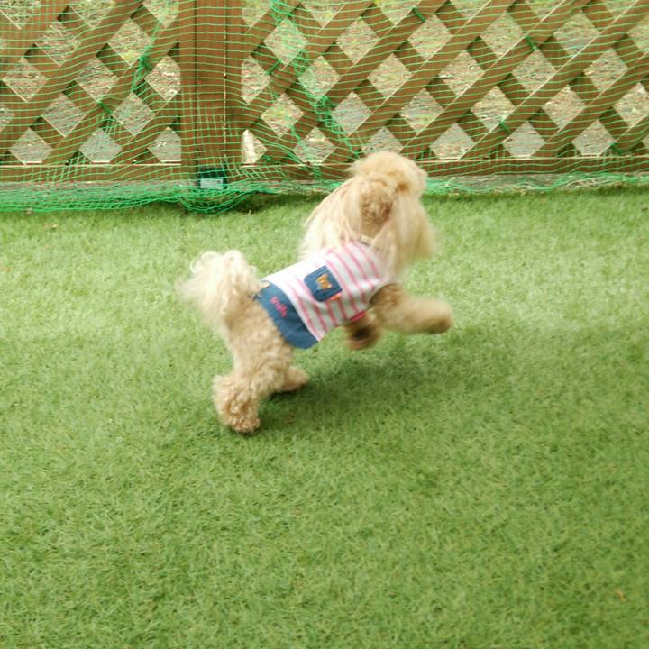 7c64a3ec 7983 4d40 8acc 017587cb9125 1524830120887