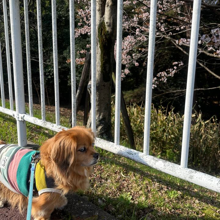 7c64d66d 90ba 4936 baa3 3ad544ff17bc 1712267978978