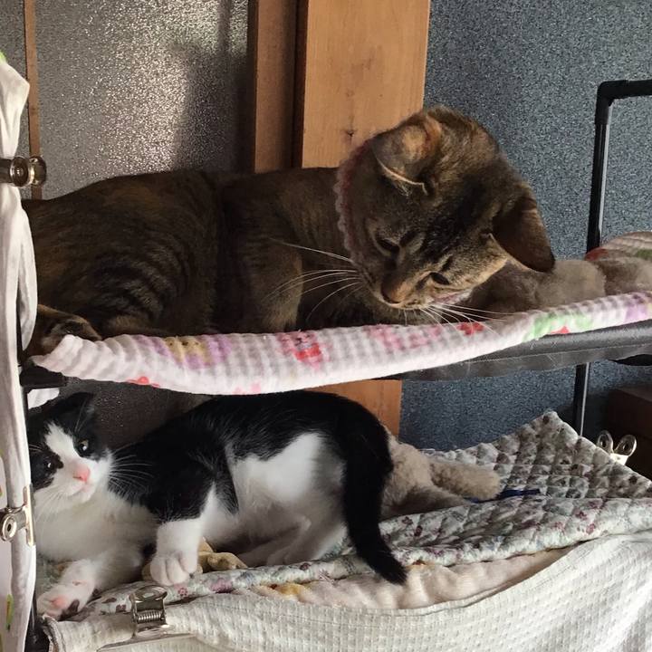 7c6506d8 6f64 40f2 989a 35eeec97c75b 1626055229264