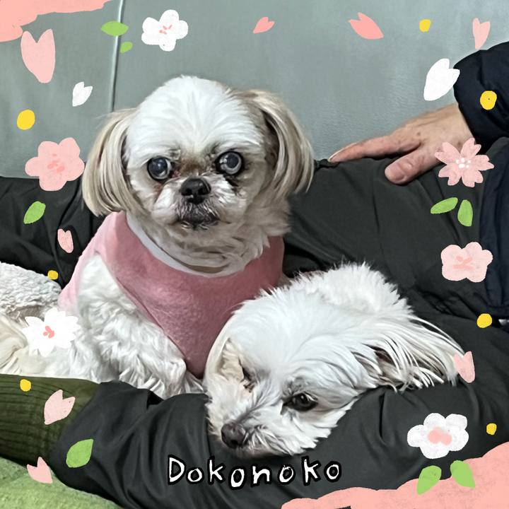 7c65f3f9 81be 4bcf b440 fb4daf5aeef3 1711002045690