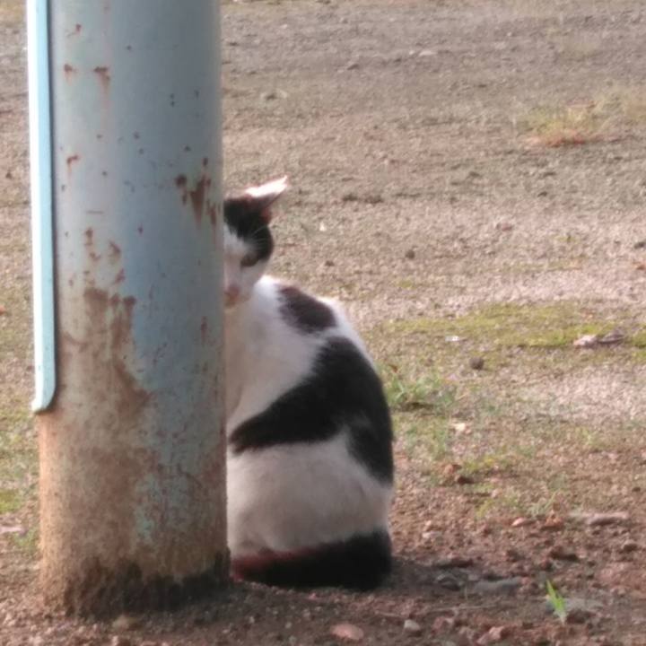 7c665d79 3982 45d9 af3f cfe3b1c70c67 1593943662670