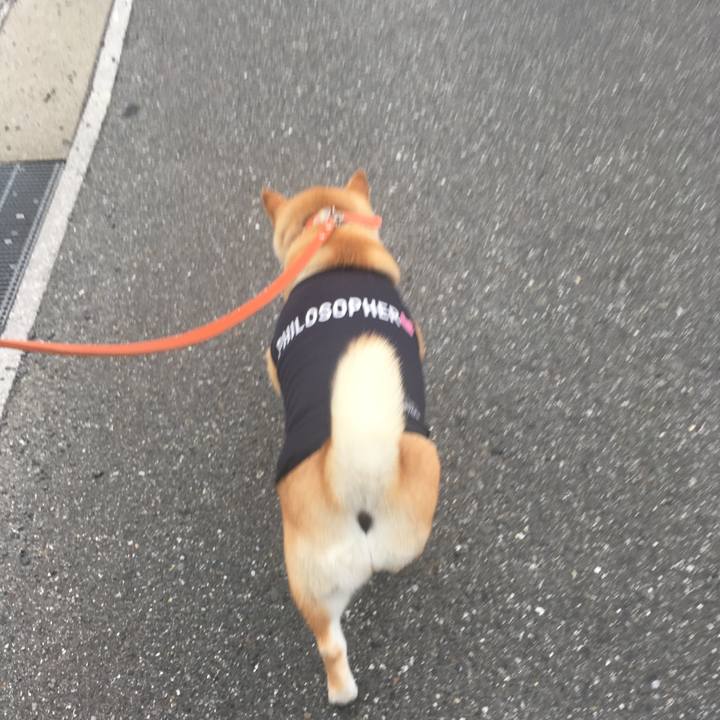 7c66800d cefd 4e33 acff ca3de7eaac81 1562669168041