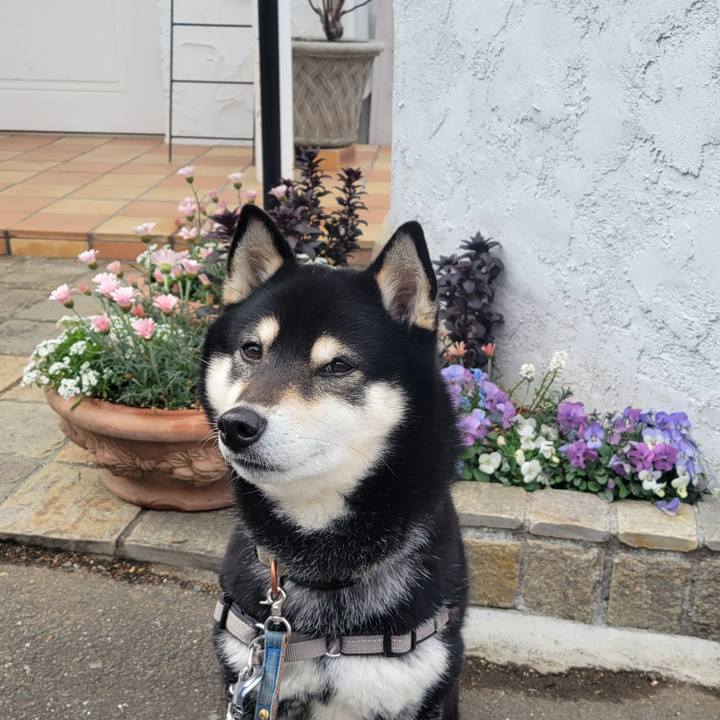 7c668555 c6e1 4fc2 aebe 6d7e73d2b77c 1771891197680