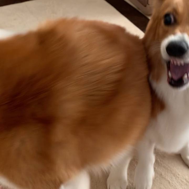 7c6692dc 3041 4921 8393 6d10987f68b4 1667639603834