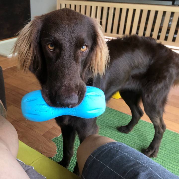 7c6696b8 5dec 44b0 8d20 078622adec1e 1592260238060