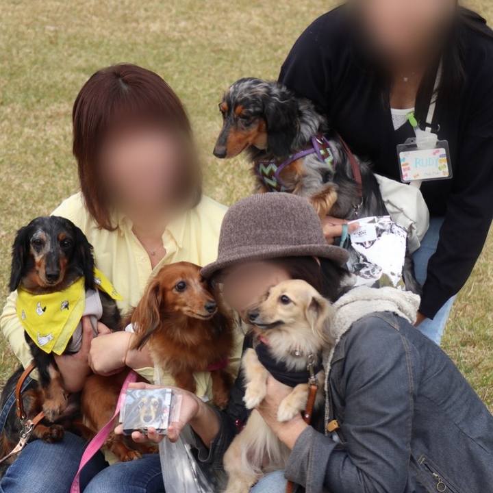 7c66c98b 2692 4e69 8a07 46968df88753 1509863799426