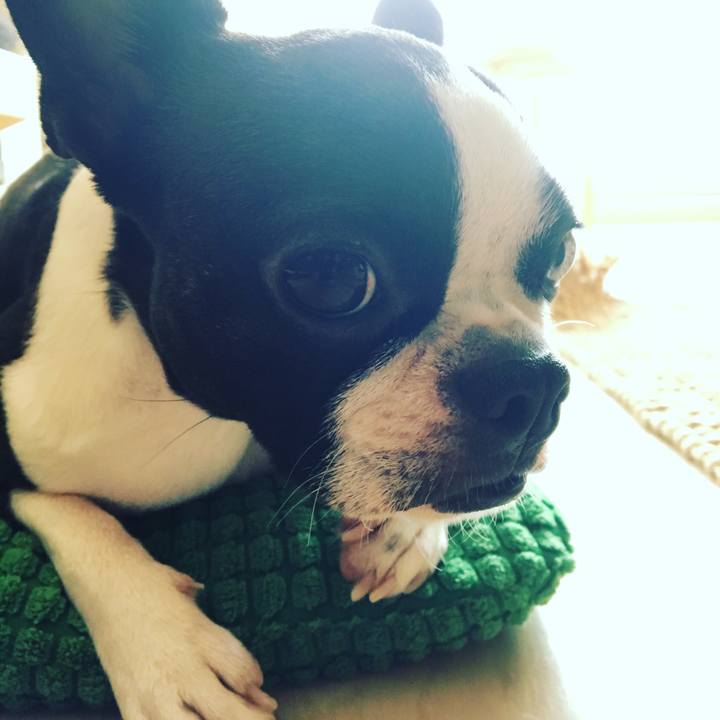 7c66d6cd 5ca5 4eb2 8103 047b5fdd2033 1528942612560