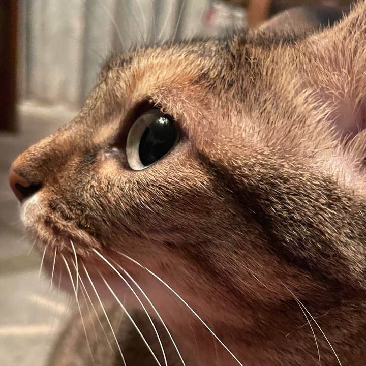 7c66f8da 1dd7 4f11 85e3 0e14e348f122 1697274337593