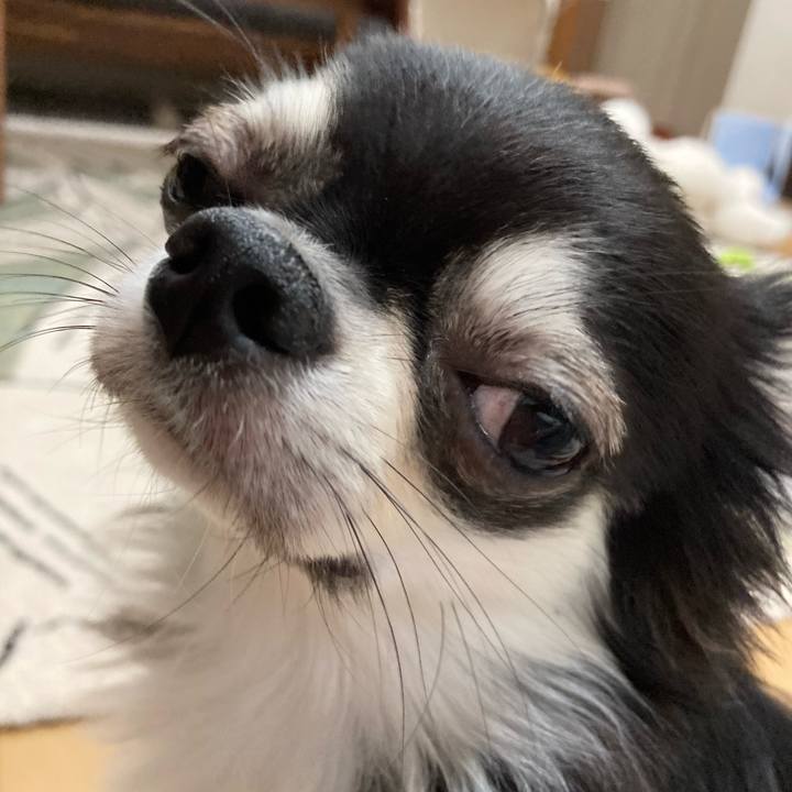 7c672540 14ec 4115 87f7 ab8f0881b8e6 1621741912396