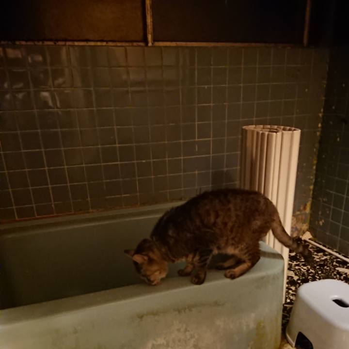 7c673455 a96f 424e b97a f714bcdfe335 1573117437121