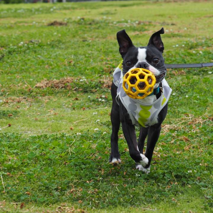 7c6736a4 ead6 4b2f a39e 0ff0b9de9609 1624793727208