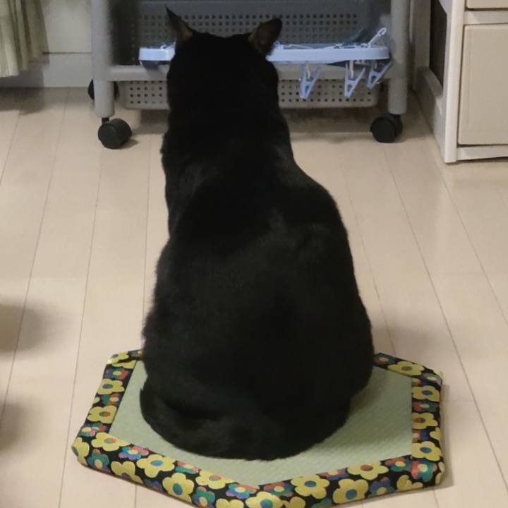 7c673def 67bf 4ed7 8638 6a2923253ad9 1730880047798