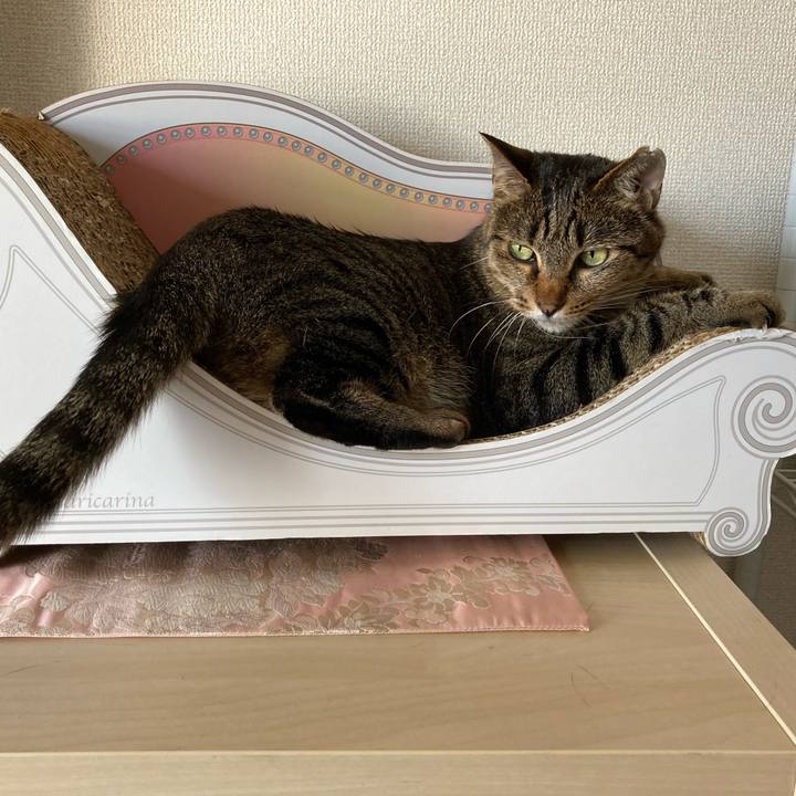 7c67a85c e078 4350 b369 22ef77c78df5 1590739834263