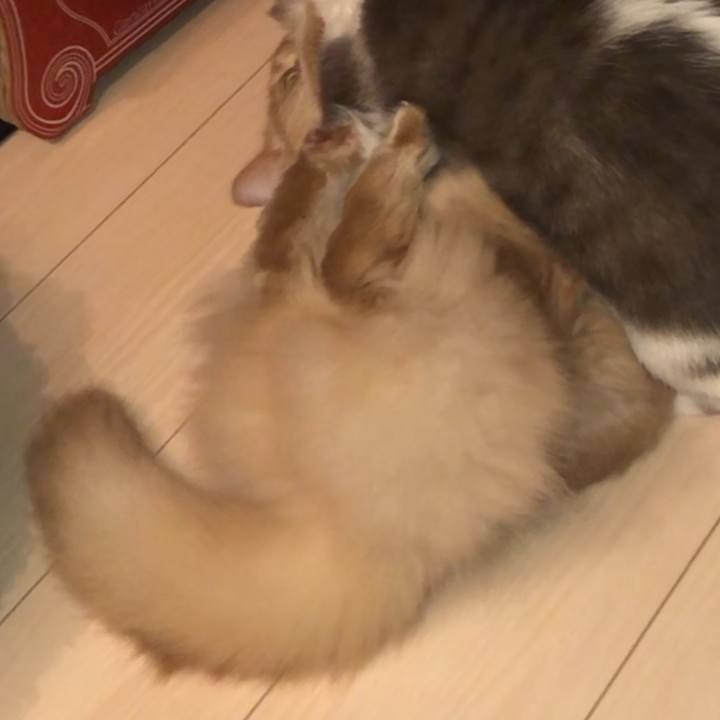 7c67b4fc cb44 43d6 9c8e 9e21200ef982 1626395698696