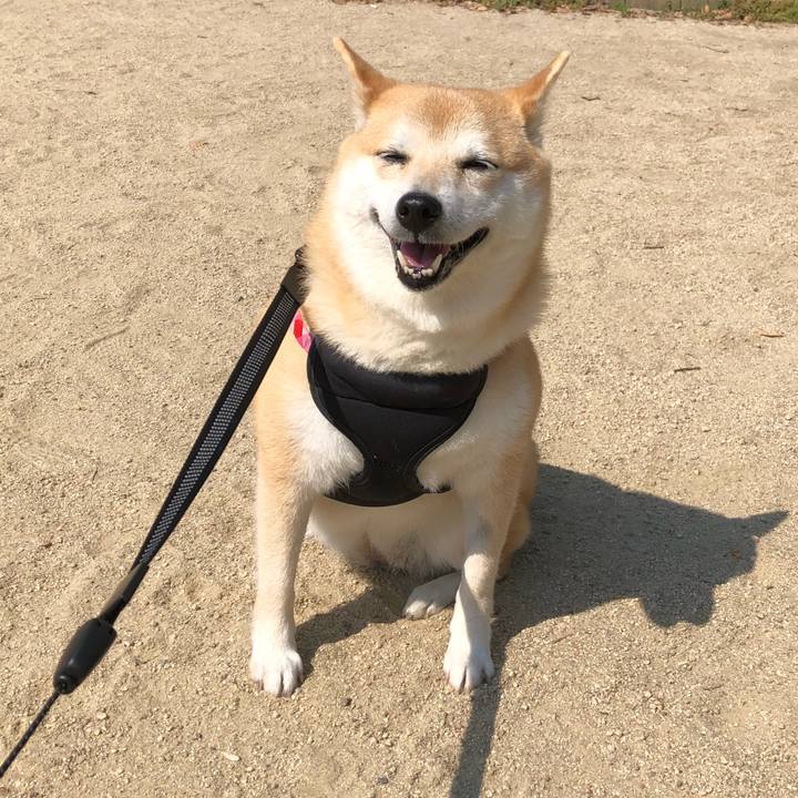 7c681f52 a4f0 40c5 ba28 6fa6479c3f37 1557756286401