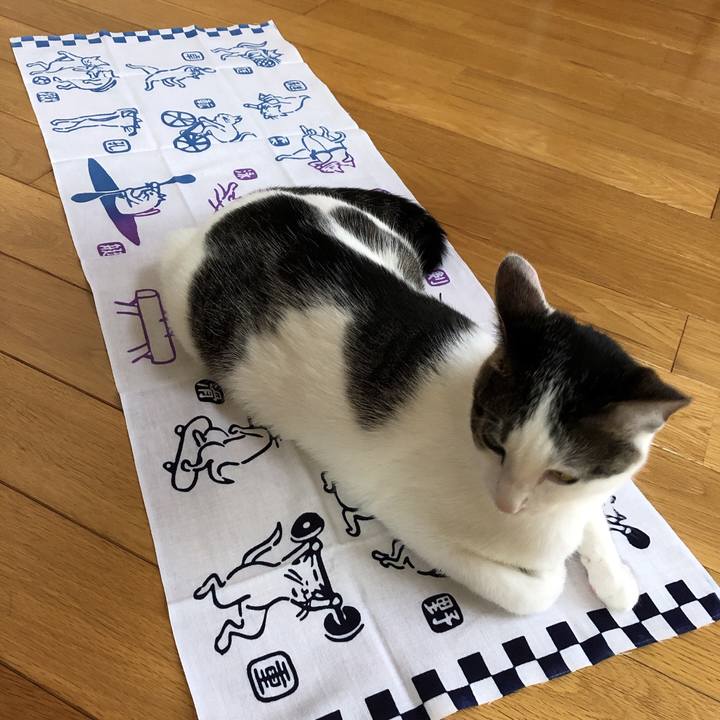 7c682f6b f24d 48b0 a7ec 810688d2cf69 1599827822856