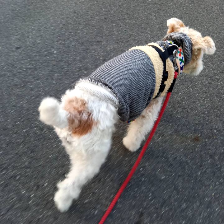 7c684d83 2261 4ac1 9288 4692c51b70fd 1605657706513