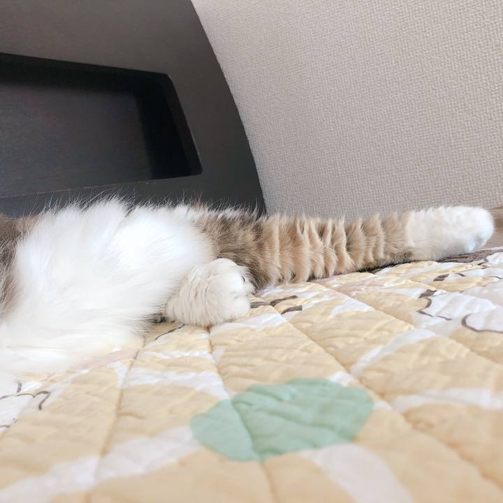 7c685c57 4111 452d b456 db31079ad4b7 1570075291141