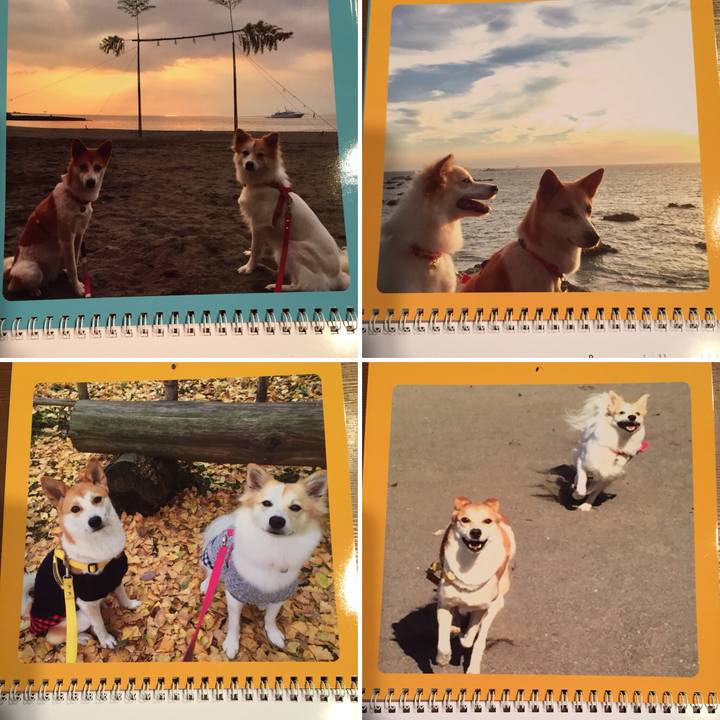 7c68aaee f407 4e00 b68c 0f370ce112e7 1514022260022