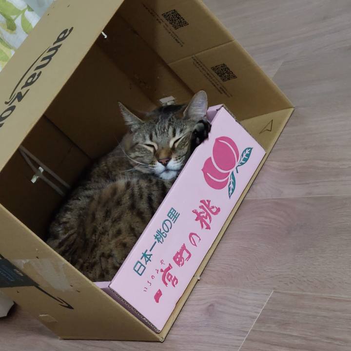 7c68b44c 2282 4ea3 a00b 082b2d973b04 1649589650723