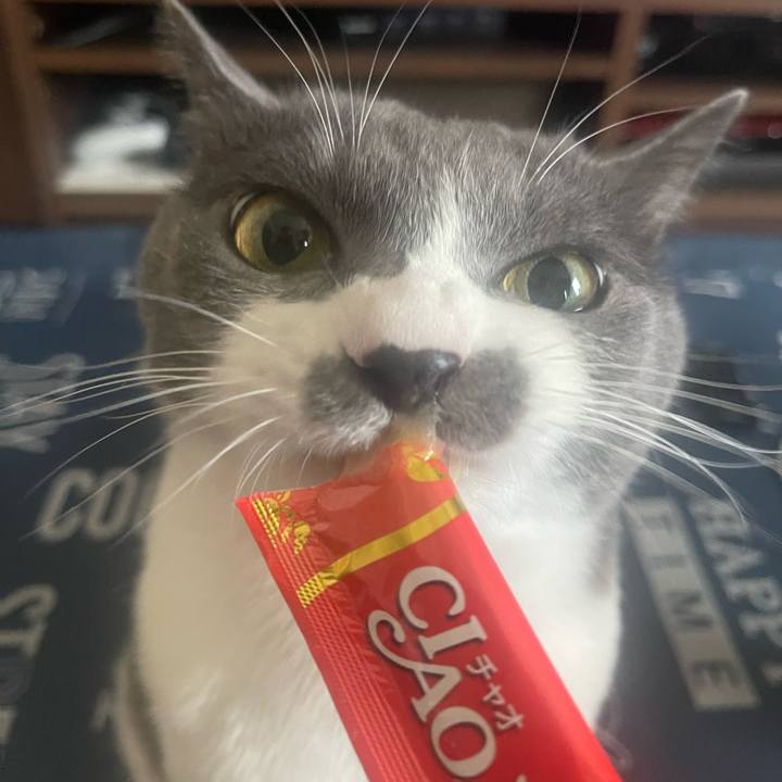 7c68d6d3 d717 41ba b6d2 12fe102e38d0 1692427569600