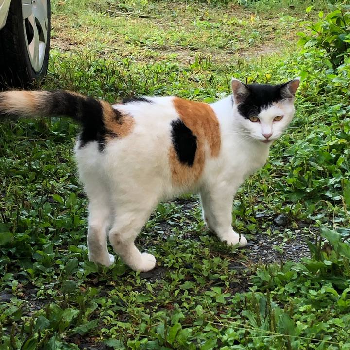 7c696460 b6cf 4348 8848 f8879e5c7294 1600294774728