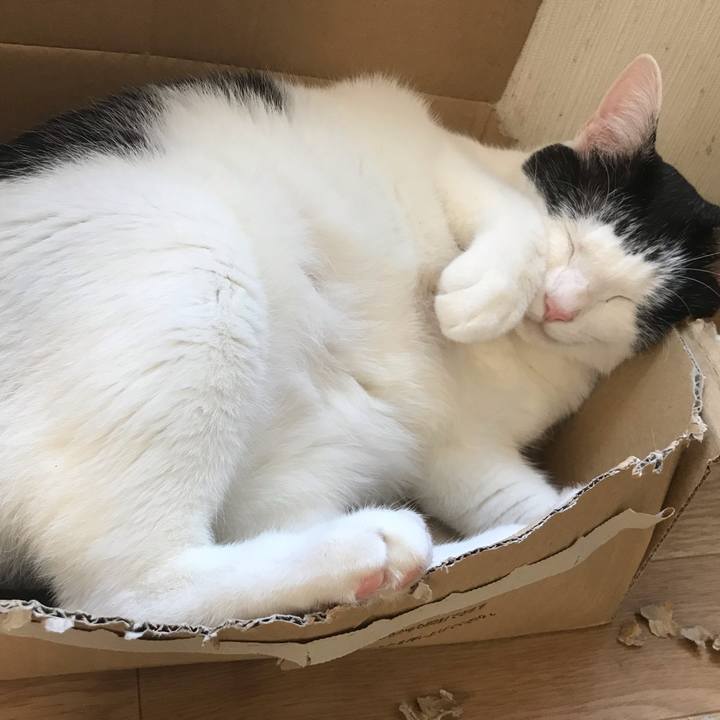 7c69ae51 8c2c 4f8f 8183 8ba6f80e3e3b 1569550861846