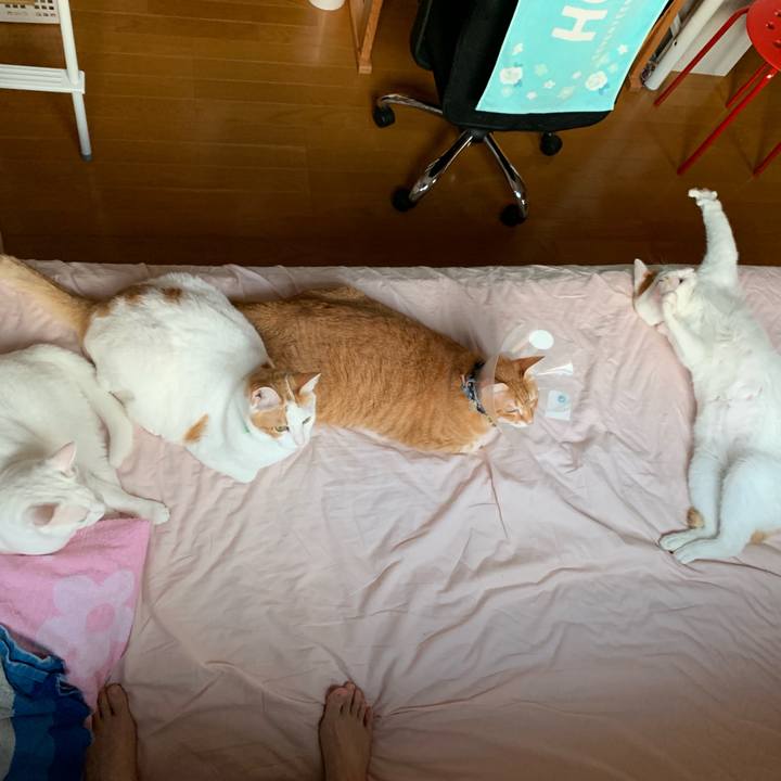 7c69c9b2 4138 4c25 b8d7 1378213cd12f 1568668844084