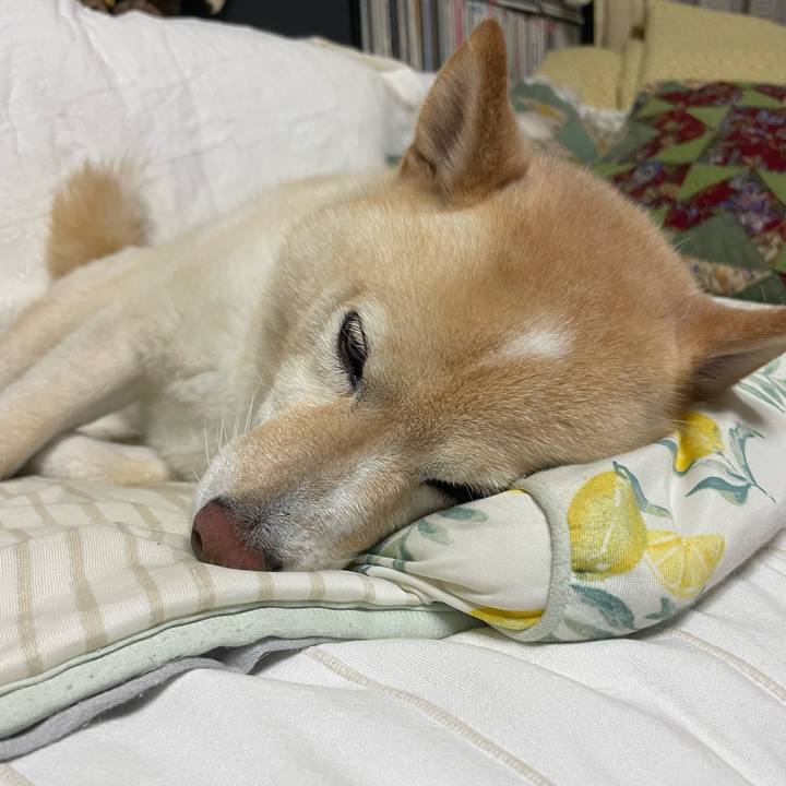 7c69d3a0 4d34 4034 9929 47d645882ca3 1725626722250