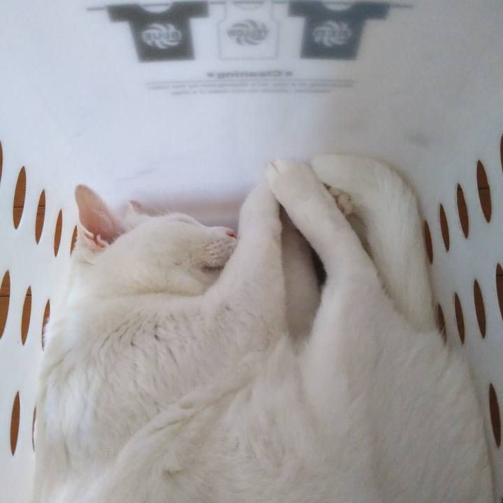 7c6a0f29 fe61 492c af9a 7917e7b4915f 1627264435910