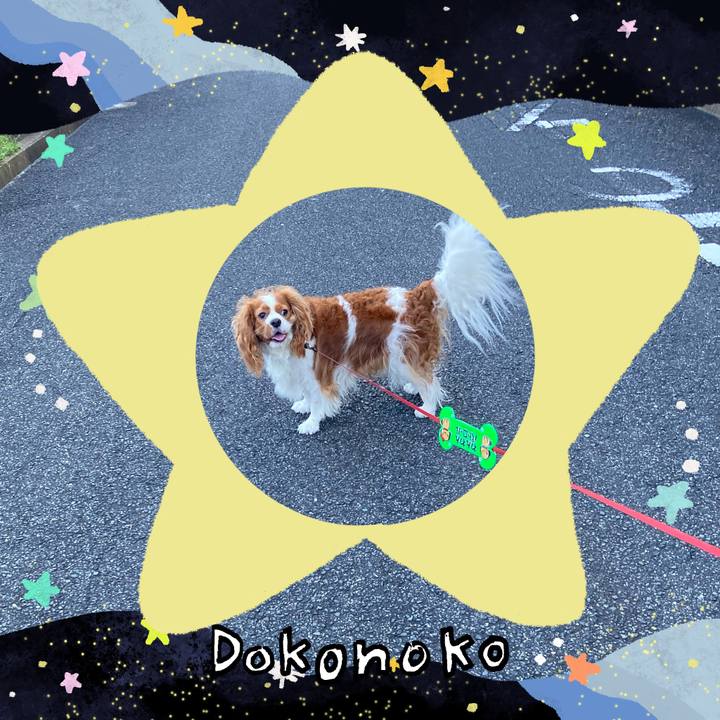 7c6a39ec 3012 4a79 8591 a750e23421fb 1721028736977