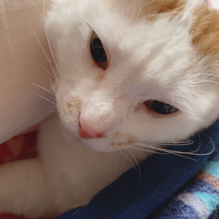 7c6a6c81 b49d 4031 aa59 a9f7d81fcde2 1586476442663