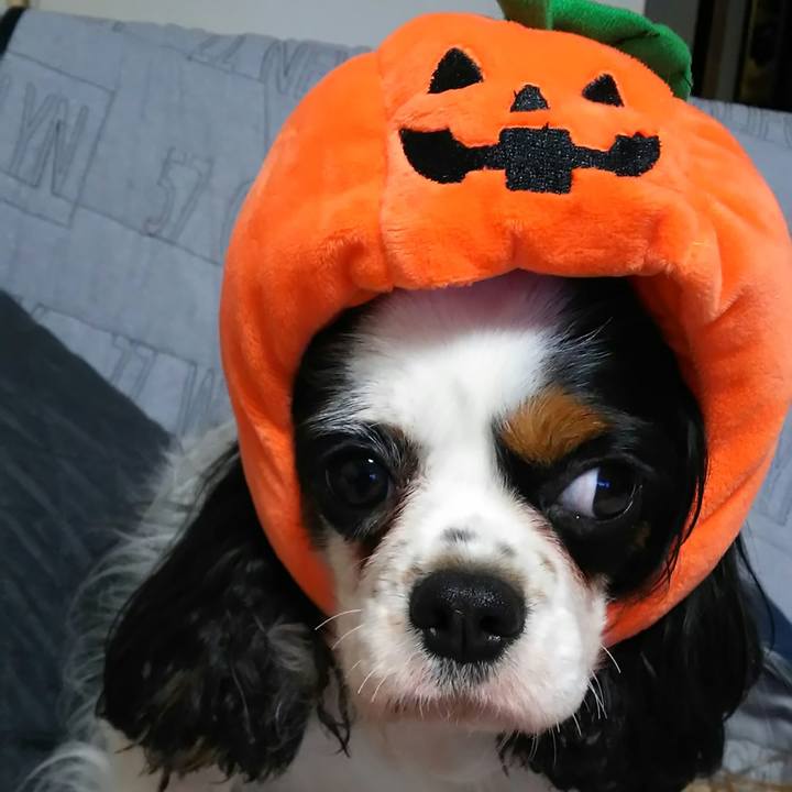 7c6a8764 8b5f 4d53 b42d 58e2ebc001a7 1540998093128