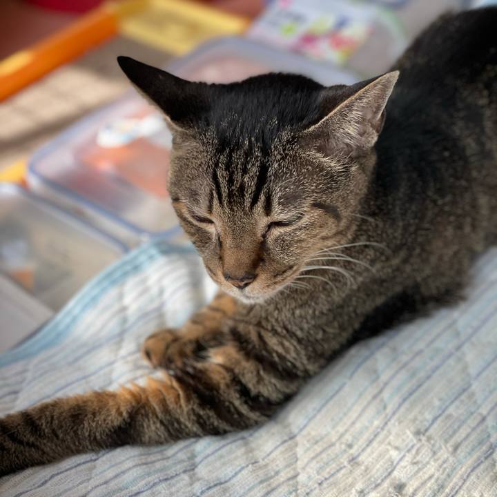 7c6ad2a1 d9ab 478c ad5b b691f68369fa 1627517033751