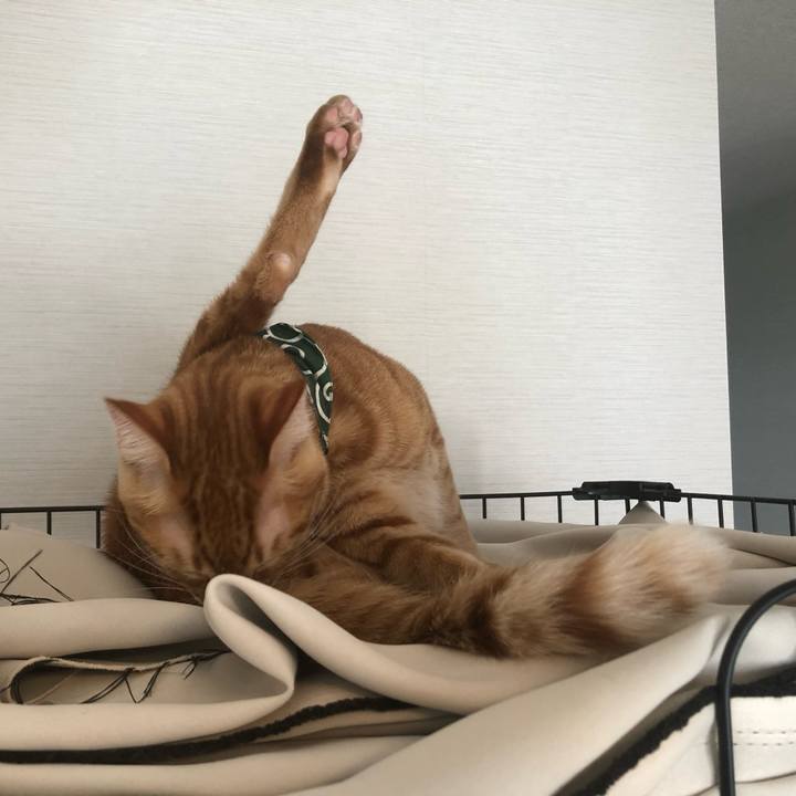 7c6af245 524d 4495 b090 98e9f7fac26e 1640061000250