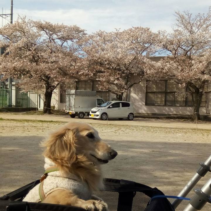 7c6b2643 8eb9 48e3 b129 6ee75843c426 1555429667169