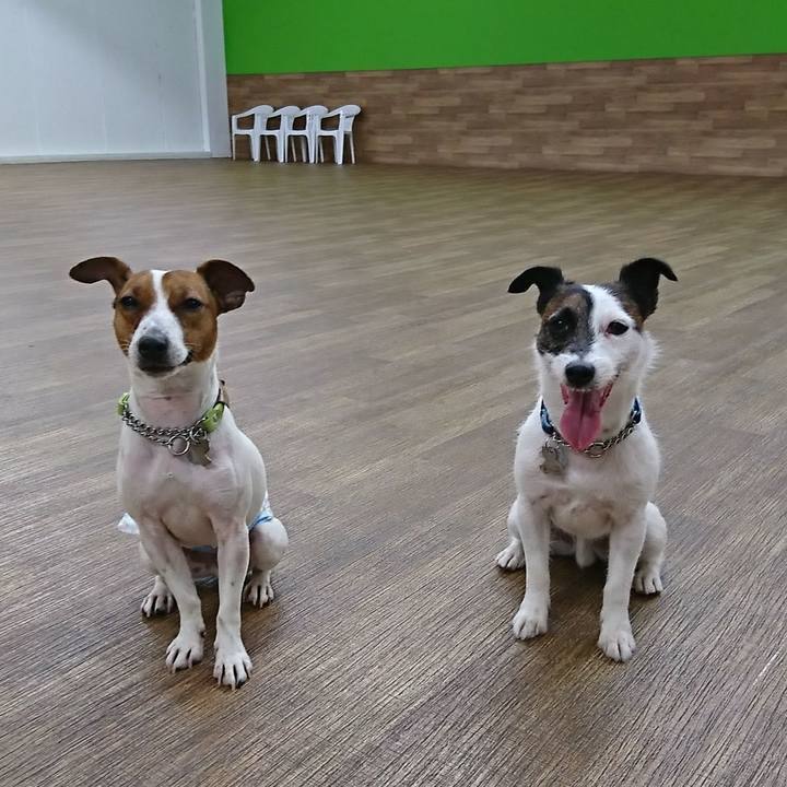 7c6b3e14 58be 4957 907e 1752781a2026 1554521812615