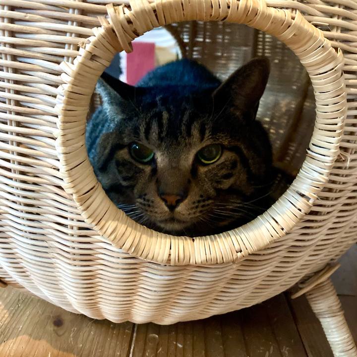 7c6b4507 1459 4370 955b a392e2a7cef6 1677891567144