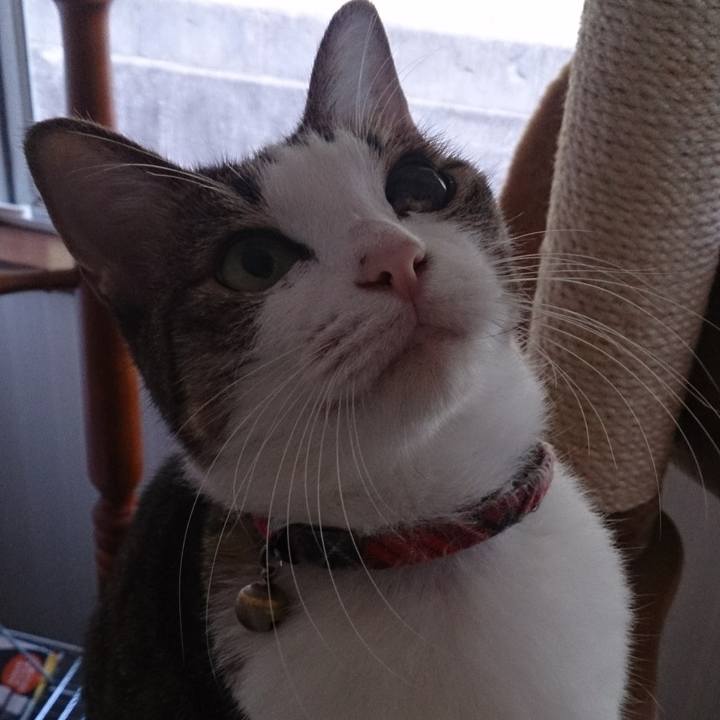 7c6b6c42 3030 4b5d a4af aecafbe2e5f3 1592972983563